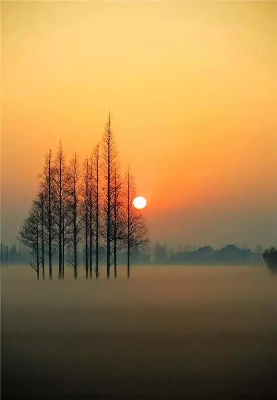 有一種心寒,叫沉默不語
