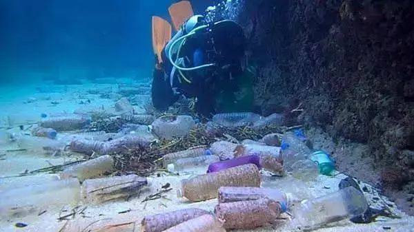 他們探勘世界最深的海底,拍下了這些令人從頭涼到腳的畫面