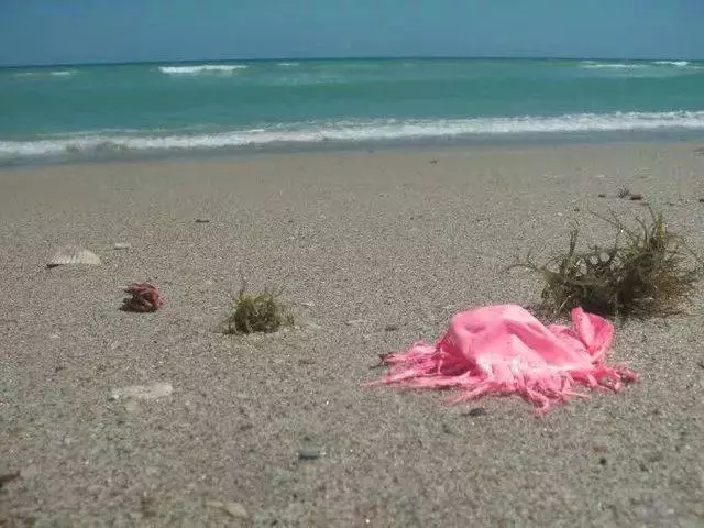 他們探勘世界最深的海底,拍下了這些令人從頭涼到腳的畫面