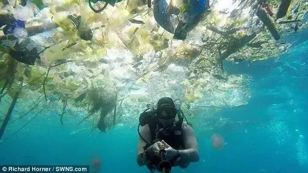 他們探勘世界最深的海底,拍下了這些令人從頭涼到腳的畫面