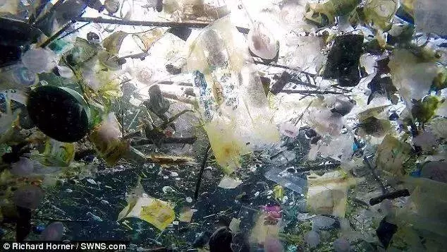 他們探勘世界最深的海底,拍下了這些令人從頭涼到腳的畫面