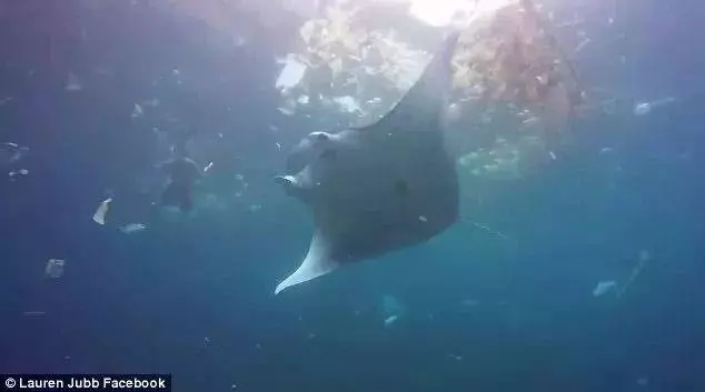 他們探勘世界最深的海底,拍下了這些令人從頭涼到腳的畫面