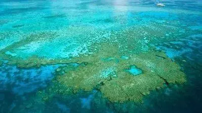他們探勘世界最深的海底,拍下了這些令人從頭涼到腳的畫面