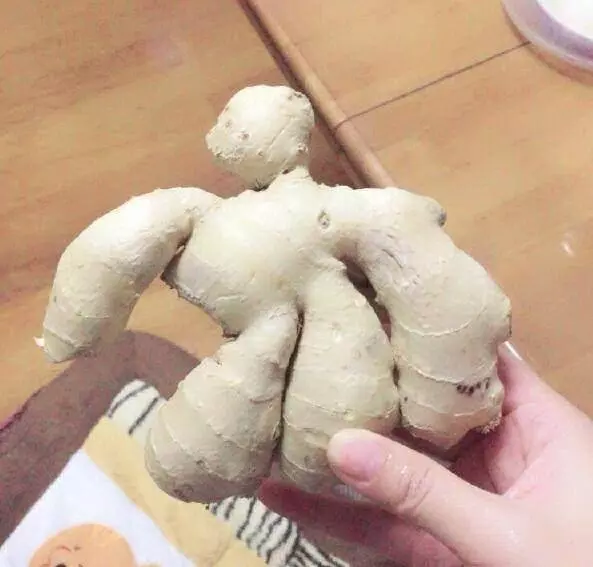 馬鈴薯怎麼存放不發芽,教你一個小技巧!馬鈴薯還能吃到幾個月