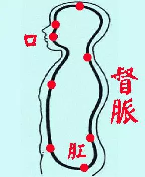 對著牆,做一個動作,治療失眠,腰腿疼痛,十病除九,很多人受益.