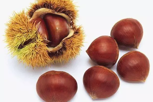 50歲後要多吃這4種【高鈣食物】,比鈣片好吸收,腿不疼膝蓋不痛了