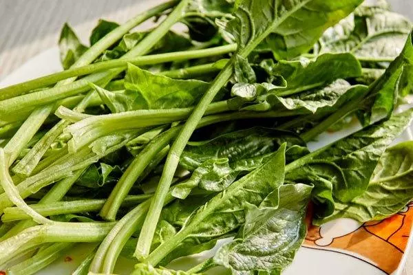 50歲後要多吃這4種【高鈣食物】,比鈣片好吸收,腿不疼膝蓋不痛了