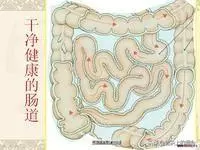 每天早晨喝一杯【清腸水】,口臭、色斑、大肚腩都【逼走】,氣色好人年輕