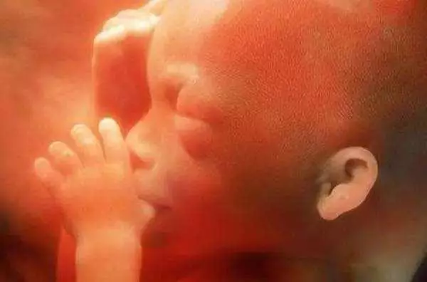 他聽見孕妻的肚子「傳來胎兒笑聲」嚇得兩眼發直!醫生一聽嚇壞:「胎兒可能不保了...」