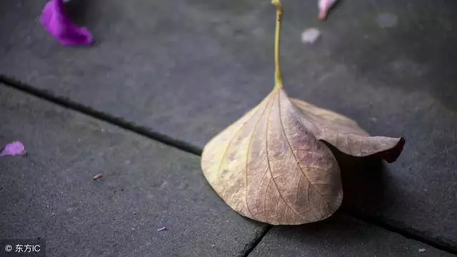 離婚後孩子想吃媽媽做的飯,我帶他去岳母家,開門後我說不出話