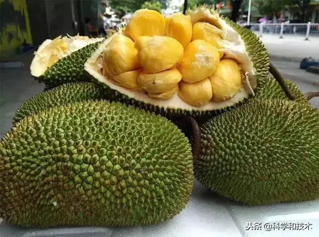 東南亞9大奇葩水果,第3個在中國最受歡迎!