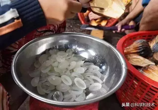 東南亞9大奇葩水果,第3個在中國最受歡迎!
