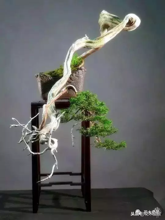 他的手點石成金,能化腐朽為神奇