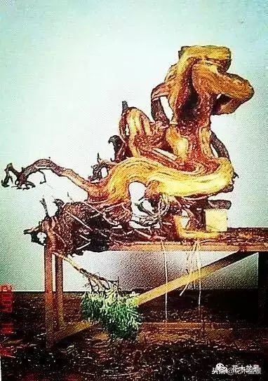 他的手點石成金,能化腐朽為神奇