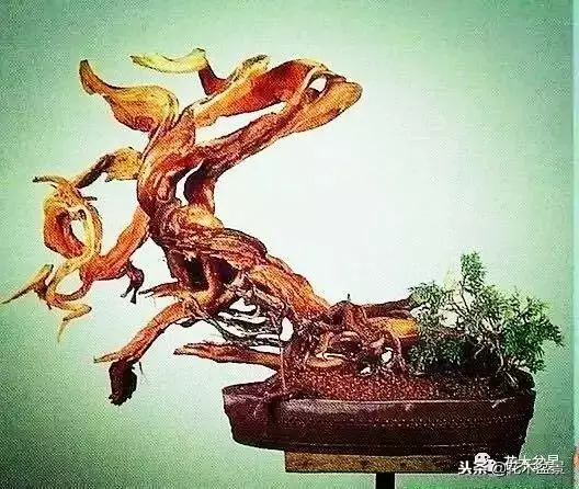 他的手點石成金,能化腐朽為神奇