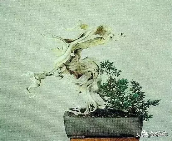 他的手點石成金,能化腐朽為神奇