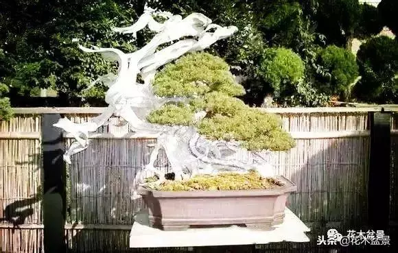 他的手點石成金,能化腐朽為神奇
