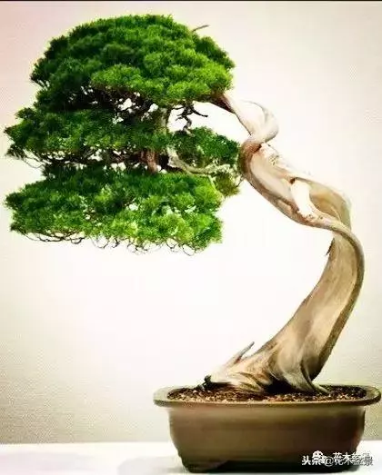 他的手點石成金,能化腐朽為神奇