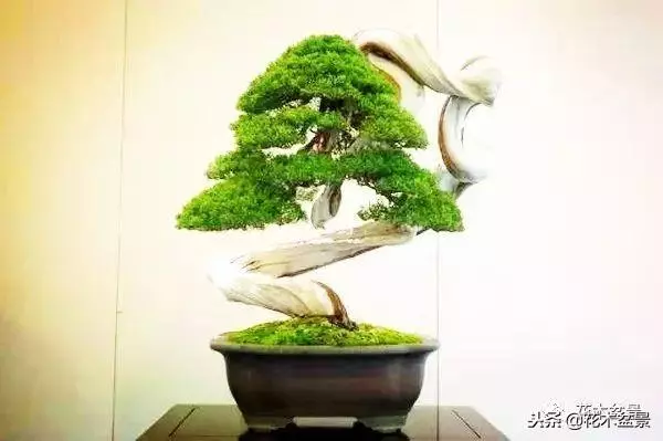 他的手點石成金,能化腐朽為神奇