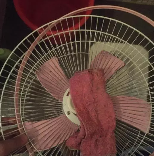 婆婆教我一個土招,吊扇1整年都不用抹,持久不長灰塵,太實用了