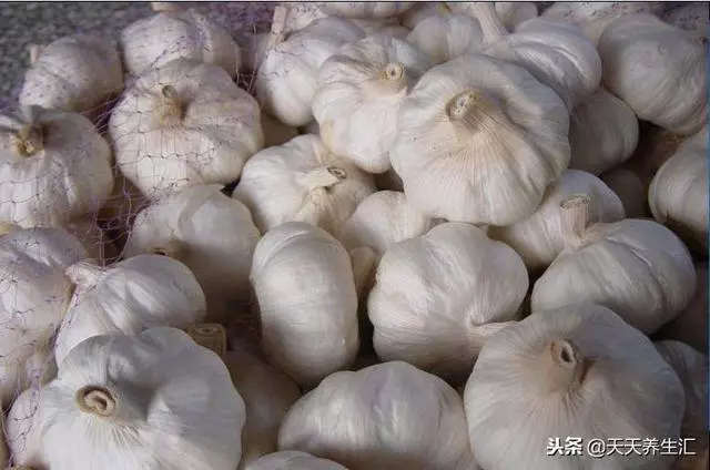 養生別只會吃大蒜,做好這5件事,身體或許會更加健康!