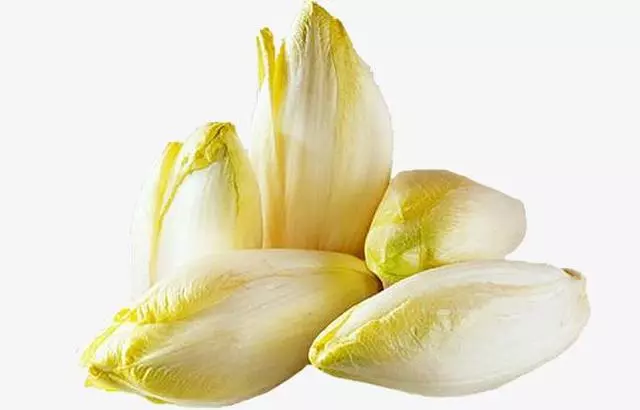 不想養花就種菜!這兩種蔬菜,營養價值高,還能降低「得癌率」!