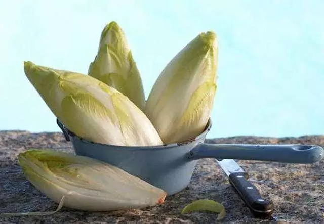 不想養花就種菜!這兩種蔬菜,營養價值高,還能降低「得癌率」!
