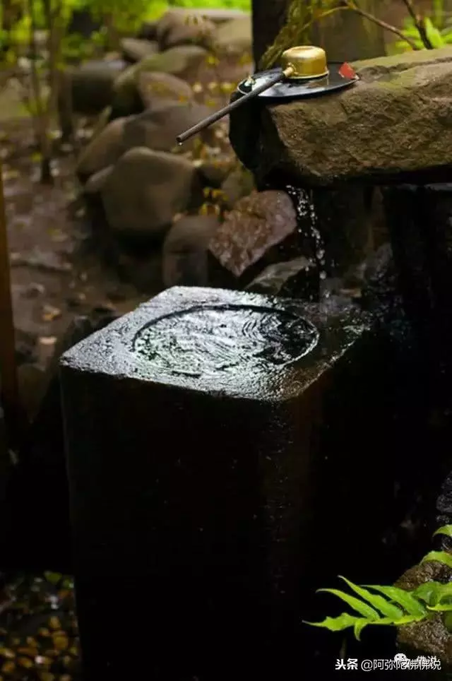 佛說:一切全都是天意