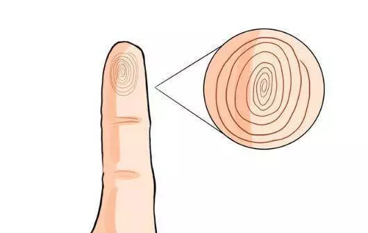 算命的說:從小指的指紋,可以看出你晚年的命運,還蠻凖哦 !