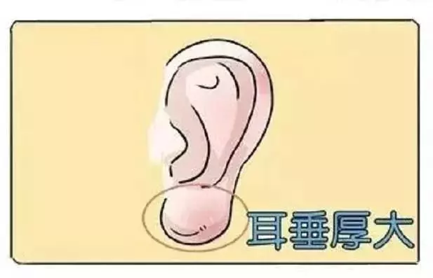 這8種面相的女人10有8、9富貴命,旺夫旺子女,最有福氣 !