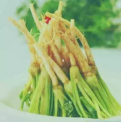用香菜煮水喝,功效非常多,大人小孩都能喝