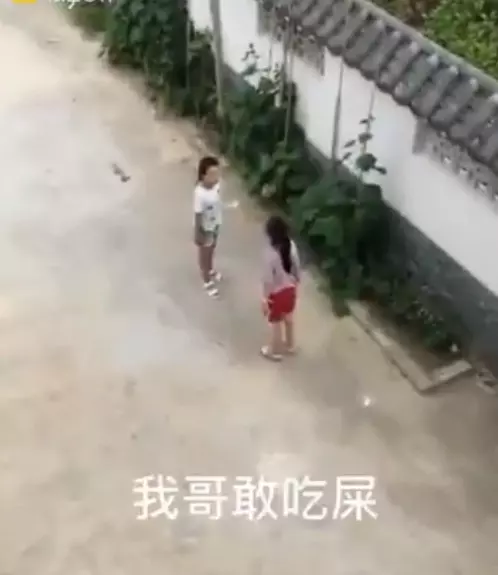 他早晨心情好「卻聽到妹妹直接出賣」:我哥敢吃屎!下秒直接爆怒:我~不~敢~