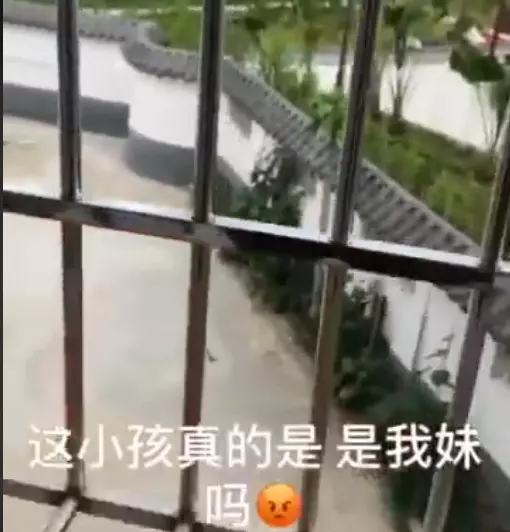 他早晨心情好「卻聽到妹妹直接出賣」:我哥敢吃屎!下秒直接爆怒:我~不~敢~