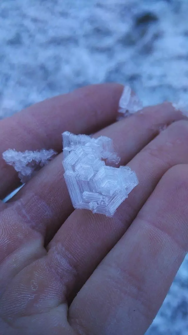 22張「大自然是最強的藝術家」生態奇妙照