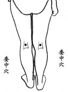 找到「排污口」,把濕毒排出去!