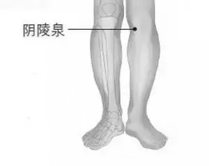 找到「排污口」,把濕毒排出去!