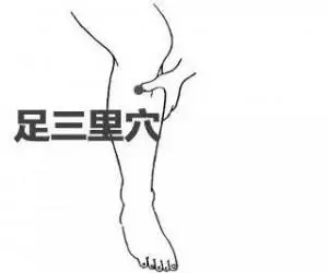 找到「排污口」,把濕毒排出去!
