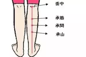 找到「排污口」,把濕毒排出去!