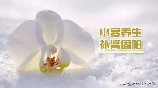 小寒養生正當時!醫生提醒:常按4穴,賽過大把保健藥