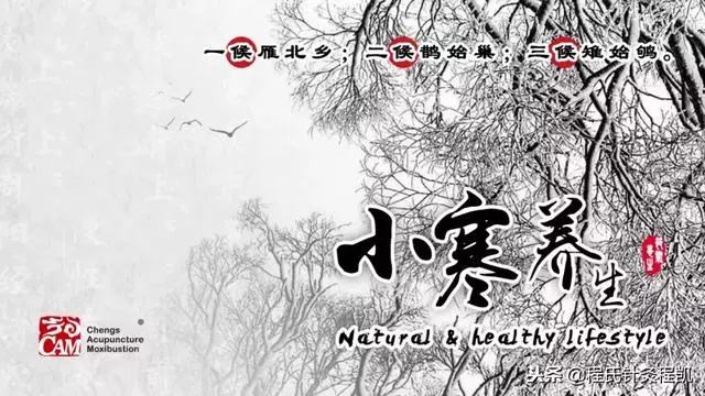 小寒養生正當時!醫生提醒:常按4穴,賽過大把保健藥