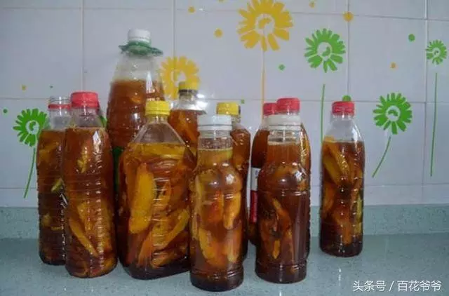 水果皮不再扔了,用來做酵素,養花不生蟲,製作方法簡單
