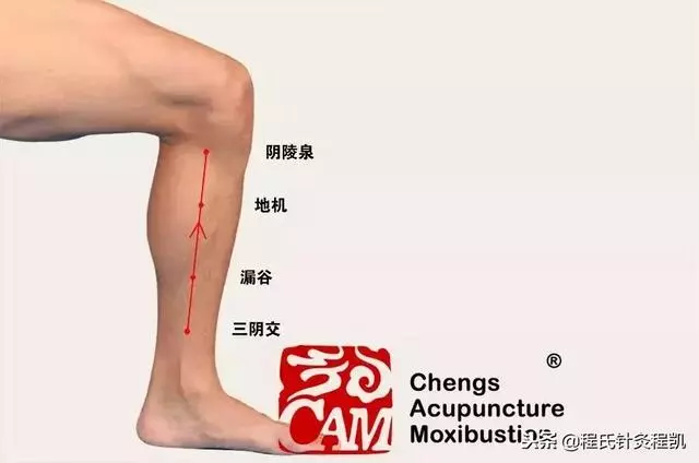 你是三高人群嗎?教您一招穴位保健法,有效預防三高問題