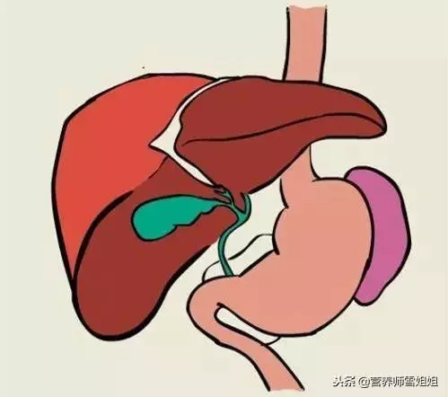 人之衰老,肝為先導,滋肝養肝「三步走」,肝好一切都好!