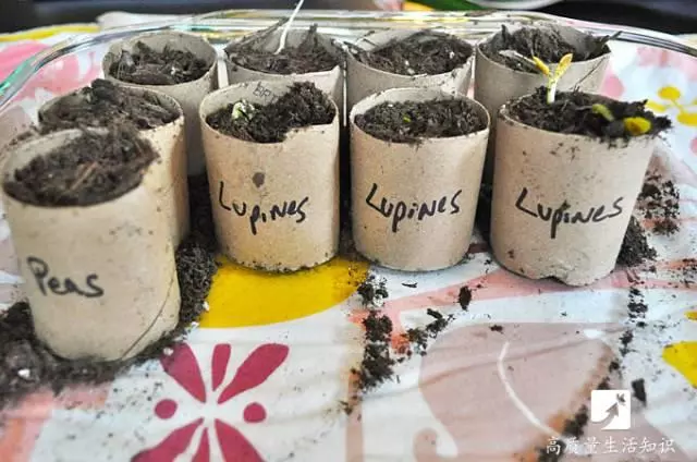 捲紙「最值錢」的就是芯了!可惜你把它們全扔了!