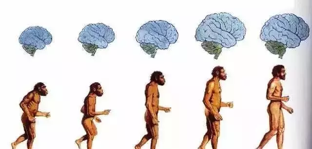 未解之謎:我們是地球上唯一的一批人類嗎?