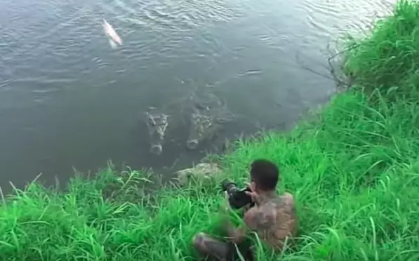 攝影師蹲岸邊拍照 損友丟肉肉引鱷魚...下秒直接差點變加菜!