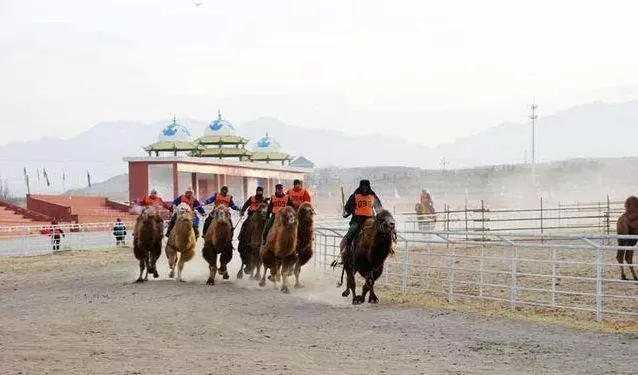 一年只存在幾天的旅行地!上百萬人不惜穿越千里,只為此生無憾!