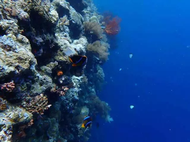 帛琉真的是人生必須的旅行地之一,相機拍不出它萬分之一的美麗!