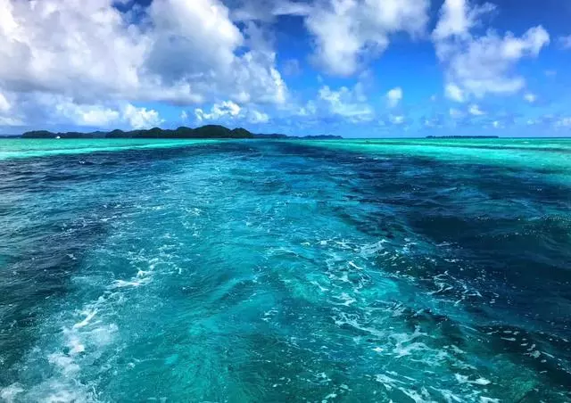 帛琉真的是人生必須的旅行地之一,相機拍不出它萬分之一的美麗!