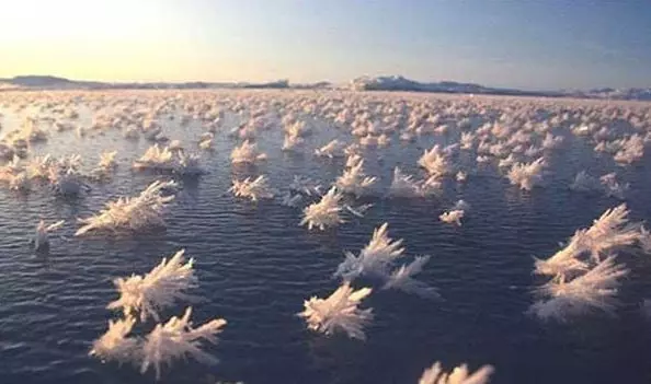 「地球上最怪異的25個奇景」,就算去不了,也一定要看看!真的大開眼界!